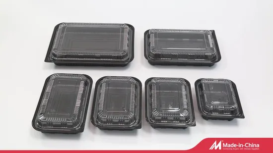 Pranzo Bento in plastica per alimenti adatto al microonde da 350 ml